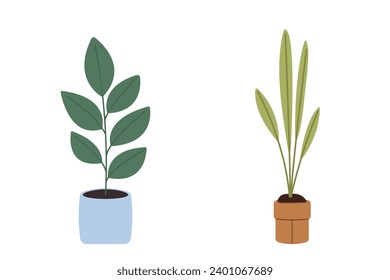 Set of indoor plants in pots. Interior or design element