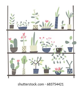 Set of indoor plants in pots on the shelves. Vector illustration in simple flat style on white background.