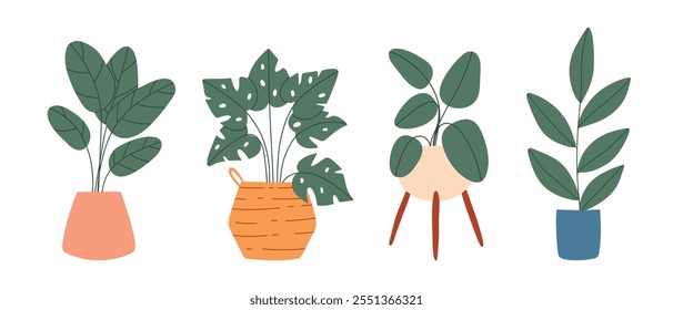 Set of indoor plants in pots. Vector illustration. Collection of house plants. Flat style.