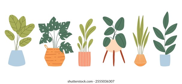 Set of indoor plants in pots. Vector illustration. Collection of house plants. Flat style.