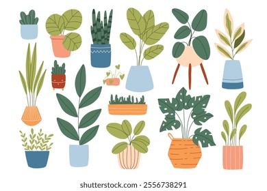 Set of indoor plants in pots. Vector illustration. Collection of house plants. Flat style.