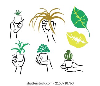 Set with indoor plants in pots, which are held in hands, caring for plants, caring for seedlings. Vector image with a black outline on a white background.