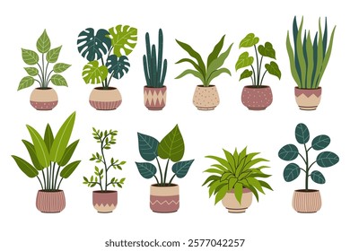 Set of indoor plants in stylish pots. Vector graphics.