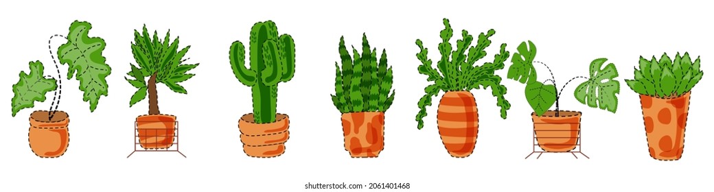 A set of indoor plants in various pots. Exotic monstera, dracaena, cactus and other green space decorations.