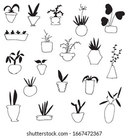 Set of indoor plants, indoor plants, vector, black and white