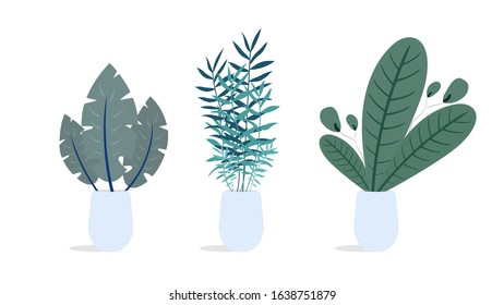 Set of indoor plants. Vector illustration