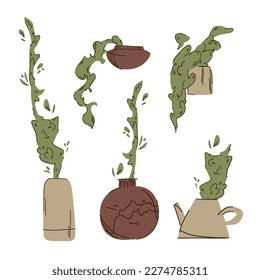 A set of indoor stylized plants in flat clay and ceramic vases