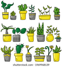 A set of indoor various plants in a doodle style, different types of blooming and not only indoor plants in bright gray and yellow pots vector illustration