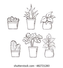 Set of indoor vector houseplants. Hand drawn illustration.