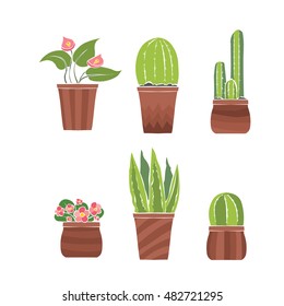 Set of indoor vector houseplants. Hand drawn illustration.