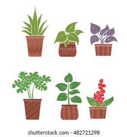 Conjunto de plantas interiores vectoriales. Ilustración dibujada a mano.