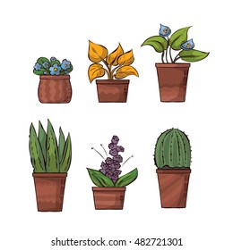 Set of indoor vector houseplants. Hand drawn illustration.