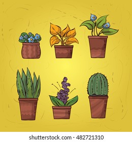 Set of indoor vector houseplants. Hand drawn illustration.