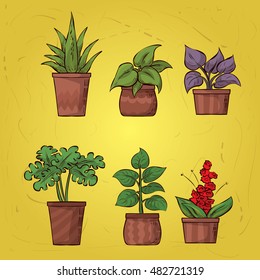 Set of indoor vector houseplants. Hand drawn illustration.