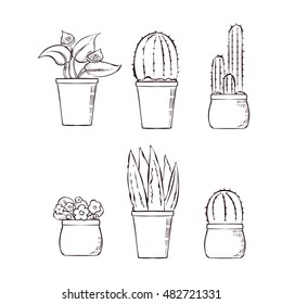 Set of indoor vector houseplants. Hand drawn illustration.