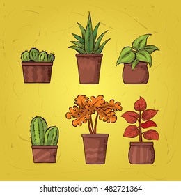 Set of indoor vector houseplants. Hand drawn illustration.