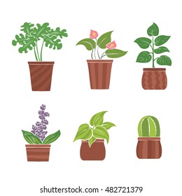Set of indoor vector houseplants. Hand drawn illustration.