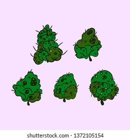 Set of inflorescence hemp. Marijuana. Vector illustration.
