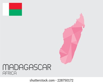 A Set of Infographic Elements for the Country of Madagascar