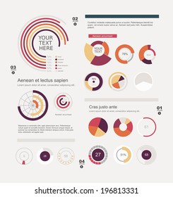 Set of info-graphic pie charts