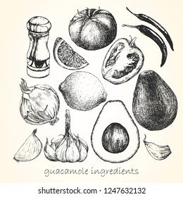 Set of ingredients for 
Guacamole. Hand-drawn illustration. Vector