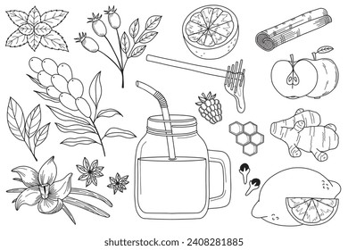 Conjunto de ingredientes para el dibujo manual de bebidas calientes. Receta de bebida caliente de invierno. Cartel de la cafetería, el restaurante. Ilustración del vector sobre fondo blanco