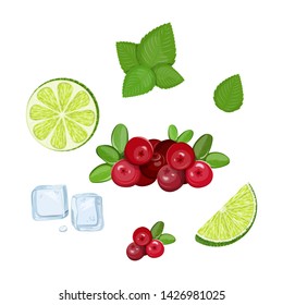 A set of ingredients for making a mojito coctail.