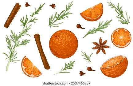 Set of ingredients for mulled wine. Half orange, orange slice, whole orange, clove, rosemary sprigs, cinnamon sticks, star anise. Hand drawn vector elements for Christmas, winter design, menu, decor