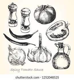 Set of ingredients for a
spicy tomato sauce. Hand-drawn illustration. Vector