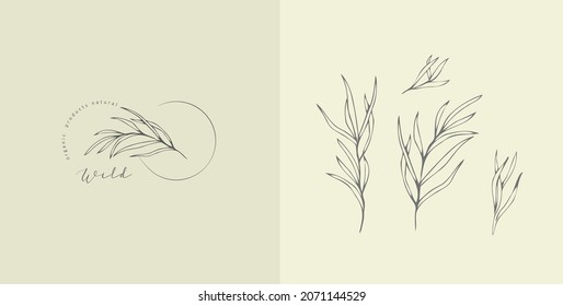 Set of inimal feminine botanical floral branch and logo. Hand drawn wedding herb, homeplant with elegant leaves. Botanical rustic trendy greenery vector