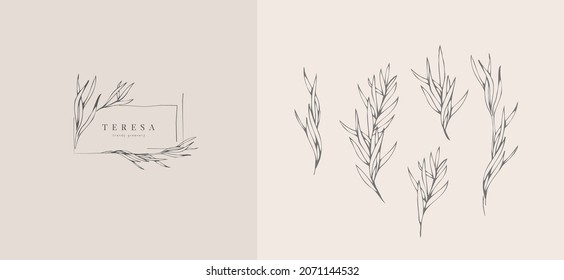 Set of inimal feminine botanical floral branch and logo. Hand drawn wedding herb, homeplant with elegant leaves. Botanical rustic trendy greenery vector