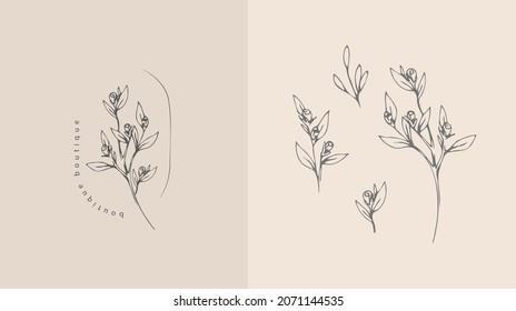 Set of inimal feminine botanical floral branch and logo. Hand drawn wedding herb, homeplant with elegant leaves. Botanical rustic trendy greenery vector