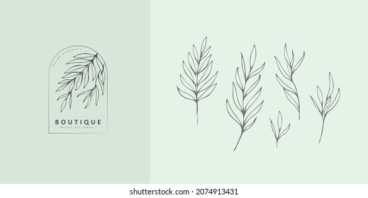 Set of inimal feminine botanical floral branch and logo. Hand drawn wedding herb, homeplant with elegant leaves. Botanical rustic trendy greenery vector