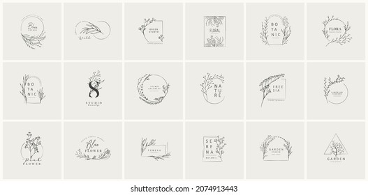 Set of inimal feminine botanical floral branch and logo. Hand drawn wedding herb, homeplant with elegant leaves. Botanical rustic trendy greenery vector