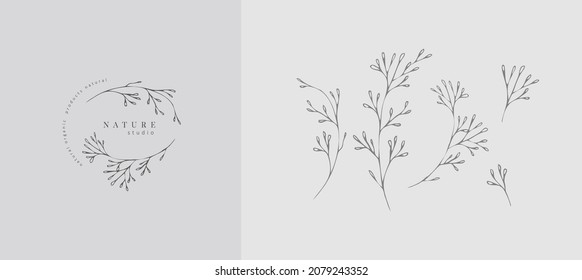 Set of inimal feminine botanical floral branch and logo. Hand drawn wedding herb, homeplant with elegant leaves. Botanical rustic trendy greenery vector