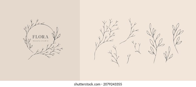 Set of inimal feminine botanical floral branch and logo. Hand drawn wedding herb, homeplant with elegant leaves. Botanical rustic trendy greenery vector