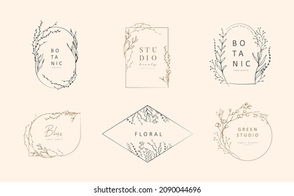 Set of inimal feminine botanical floral branch and logo. Hand drawn wedding herb, homeplant with elegant leaves. Botanical rustic trendy greenery vector