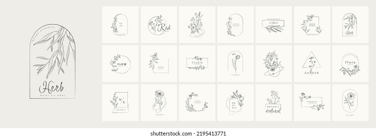 Conjunto de ramas y logo florales botánicos femeninos iniciales. Hierba de bodas dibujada a mano, planta de casa con hojas elegantes. Vector de vegetación botánico-rústico de moda