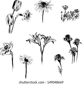 set of ink drawing flowers, vector illustration