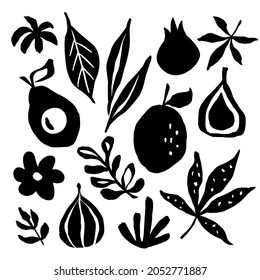 Set of ink graphic elements in cut-out style. Abstract illustrations of fruits and leaves.