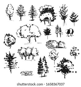 Set of ink tree silhouette. Hand drawn illustration isolated on white background