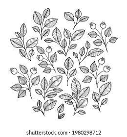 Set of ink twigs and twigs with berries