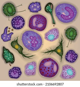 Set Of Innate Immune System Cells, Vector Illustration