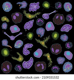 Set Of Innate Immune System Cells, Vector Illustration