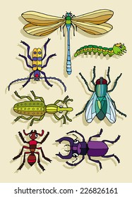 Set Insect