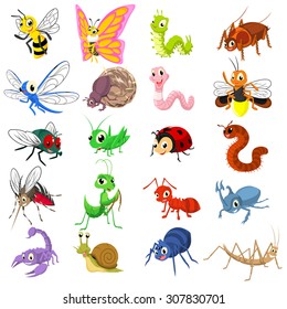 Set of Insect Cartoon Character Flat Design Vector Illustration