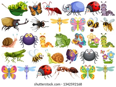 Set of insect character illustration