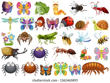 Set of insect character illustration