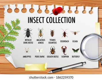 Set of insect collection with stationary elements on the table illustration