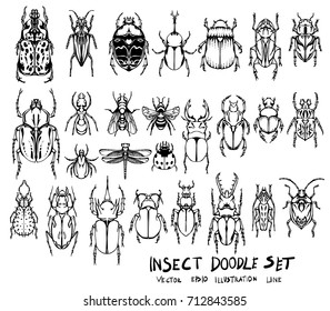 Set of insect doodle illustration Hand drawn Sketch line vector